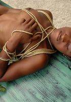 Surya in toys, Surya (sur001) ATK Exotics: Surya (Surya in toys)