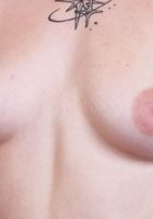 Venus Vixen Spreads Up Close, Venus Vixen (ven021) ATK Petites: Venus Vixen (Venus Vixen Spreads Up Close)