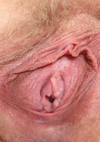 ATK Natural & Hairy: Vestacia JonQuil (Vestacia JonQuil in young and hairy)