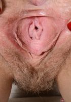 ATK Natural & Hairy: Vestacia JonQuil (Vestacia JonQuil in young and hairy)