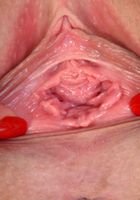 Violet Winters from ATK Exotics