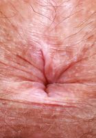 Violet Viper from ATK Natural & Hairy