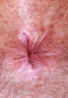 Violet Viper from ATK Natural & Hairy