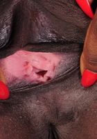 Ebony Leah spreads her legs, Leah (whi004) ATK Exotics: Leah (Ebony Leah spreads her legs)
