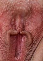 Mandy Muse in latinas, Mandy Muse (xyl001) ATK Exotics: Mandy Muse (Mandy Muse in latinas)