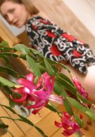 Yulia in artistic, Yulia (yul006) ATK Premium: Yulia (Yulia in artistic)